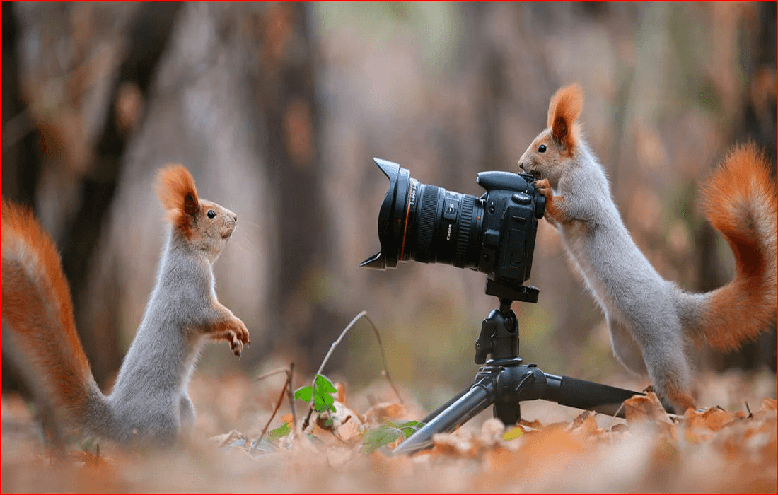 Tập làm phó nháy: khẩu, tốc, độ nhạy sáng những thông số căn bản cần nắm